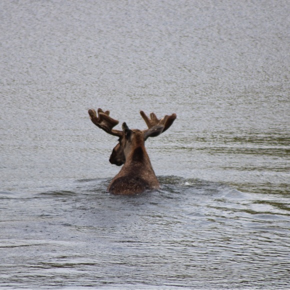 $ - Picture 13 of 16